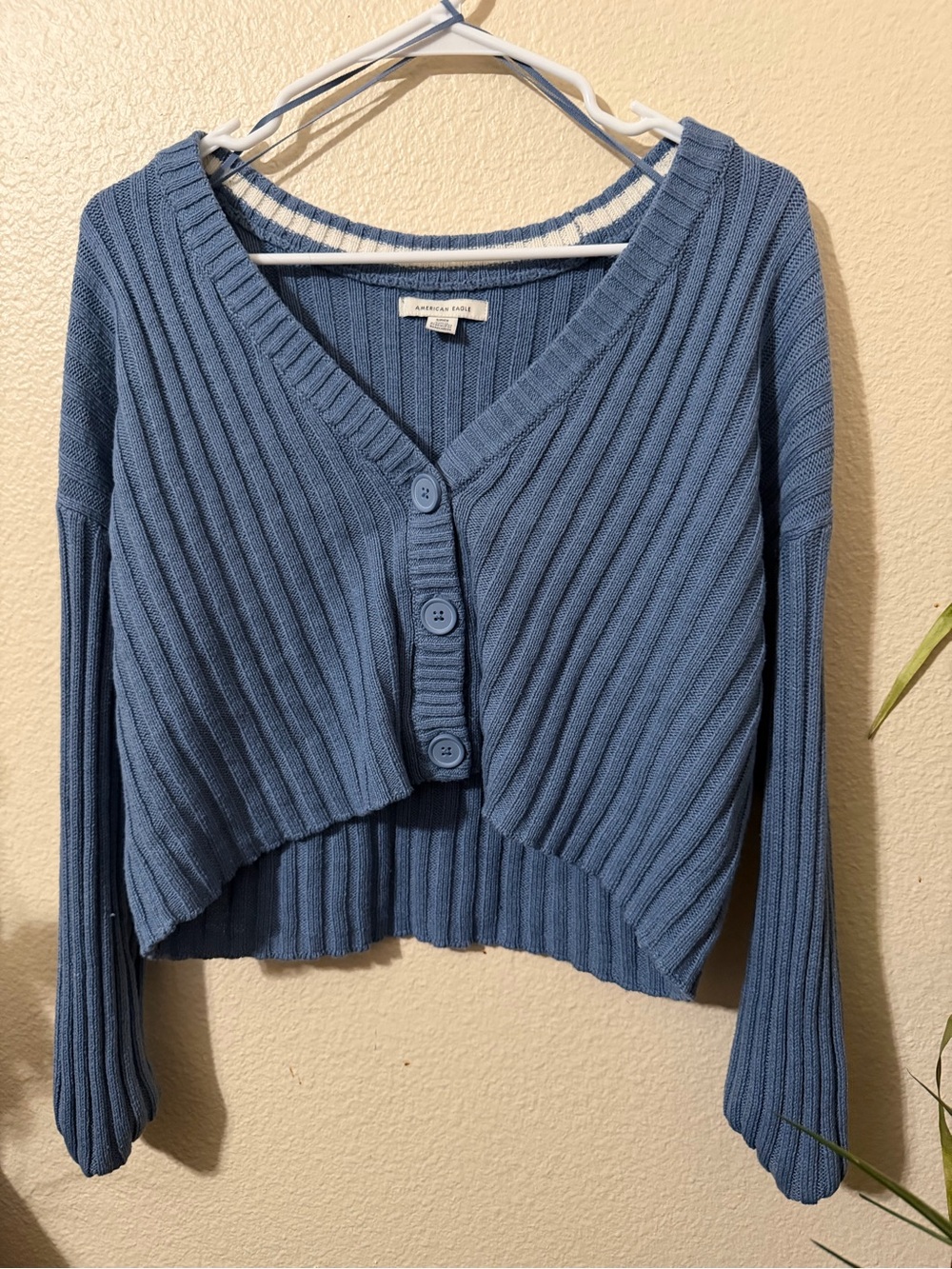 American Eagle Outfitters Blue Ribbed Cropped Button-Up Cardigan